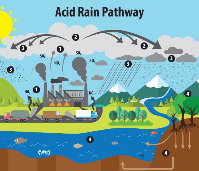 Acid Rain Pathway