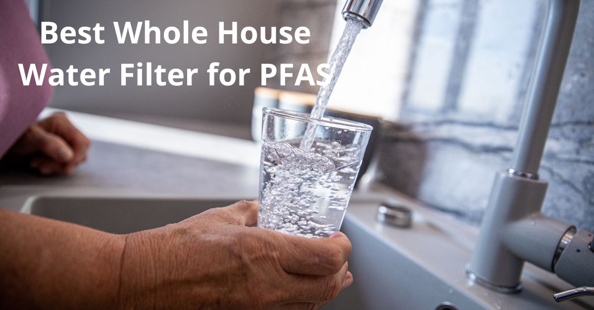 Read more about the article Best Whole House Water Filter for PFAS