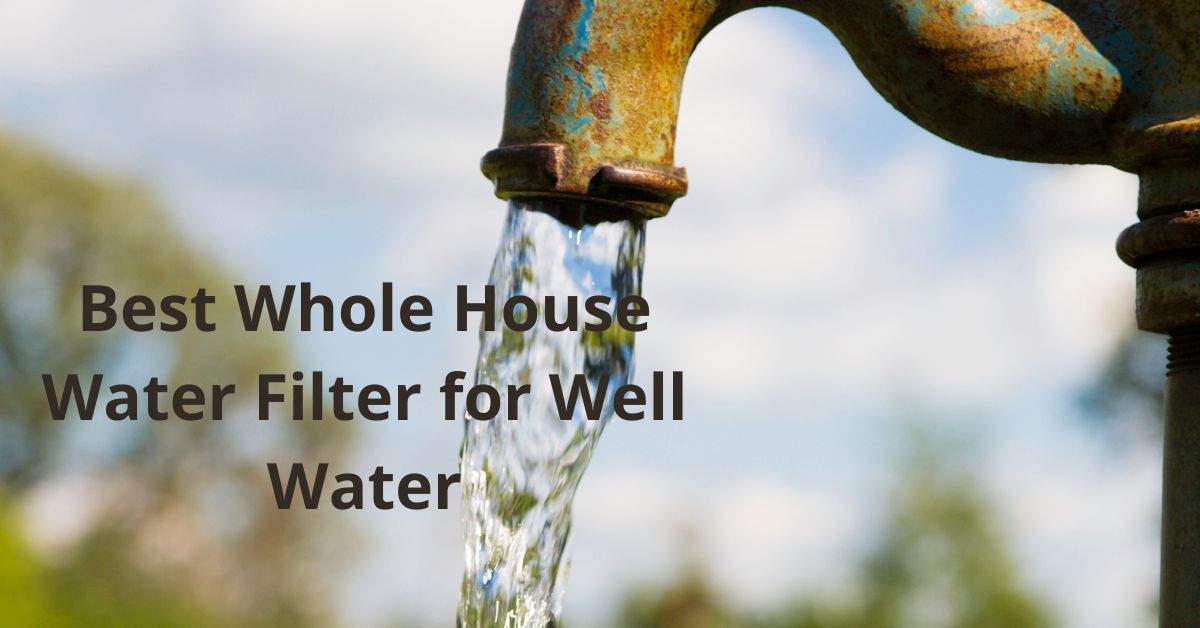 Read more about the article Best Whole House Water Filter for Well Water