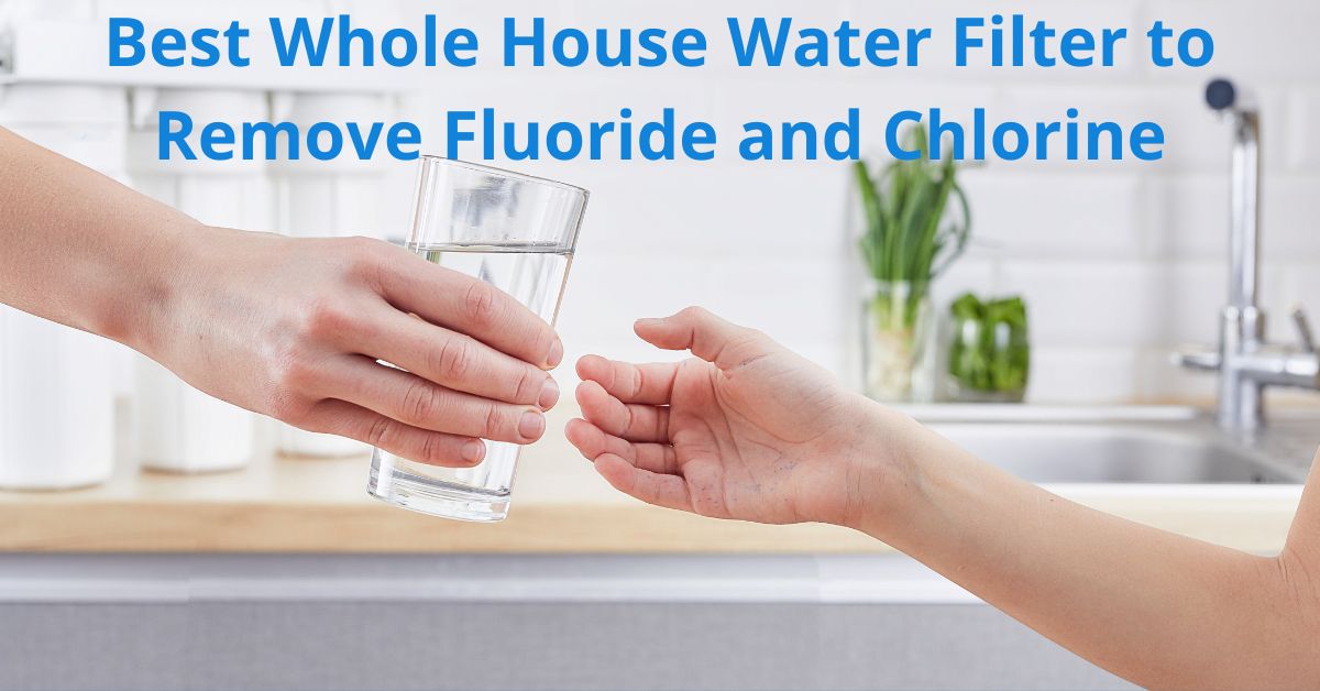 Read more about the article Best Whole House Water Filter to Remove Fluoride and Chlorine