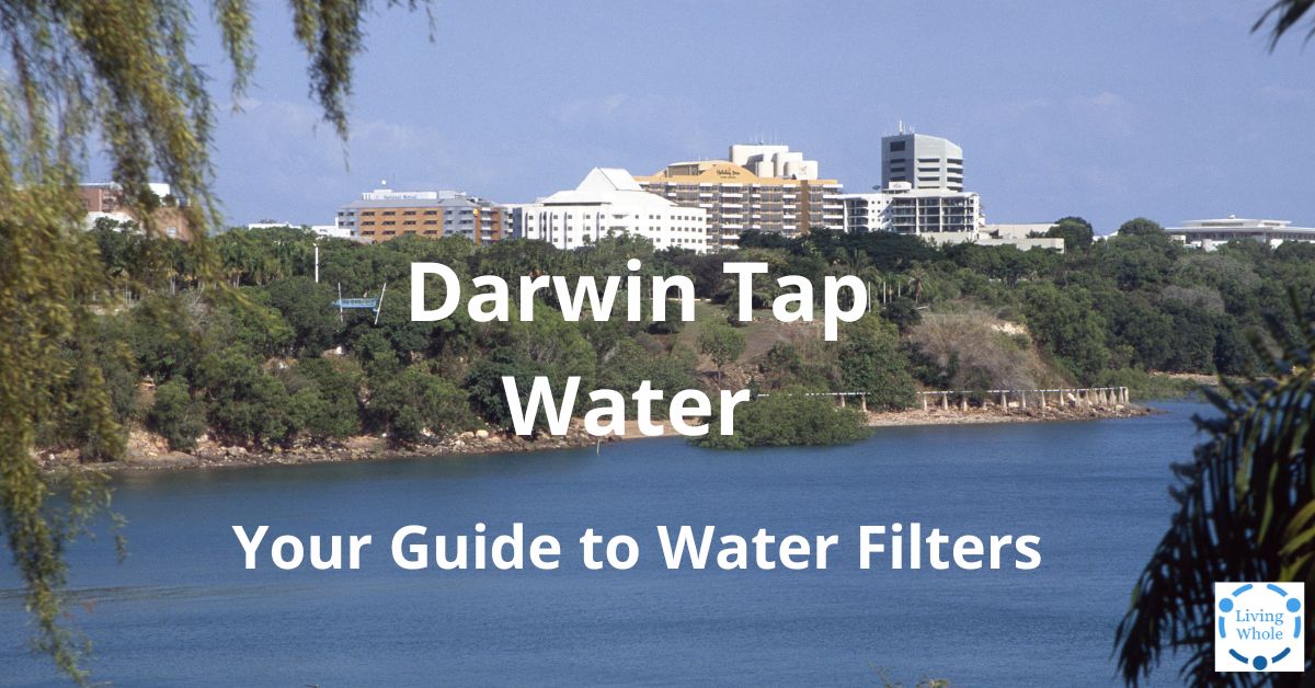 Read more about the article Darwin Tap Water—Your Guide to Water Filters
