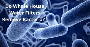 Read more about the article Do Whole House Water Filters Remove Bacteria? 