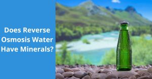 Read more about the article Does Reverse Osmosis Water Have Minerals?