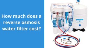 Read more about the article How much does a Reverse Osmosis Water Filter Cost?