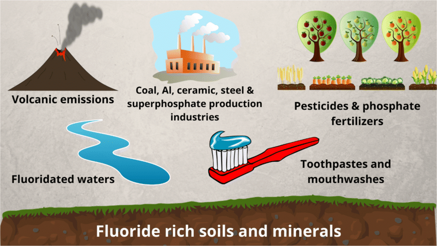 Main fluoride sources from the environment