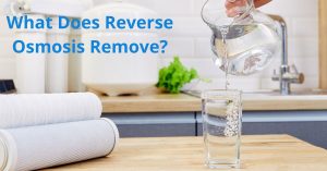 Read more about the article What Does Reverse Osmosis Remove?