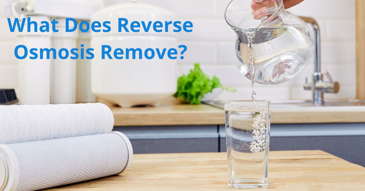 You are currently viewing What Does Reverse Osmosis Remove?