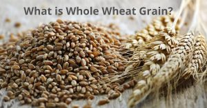 Read more about the article What is Whole Wheat Grain?