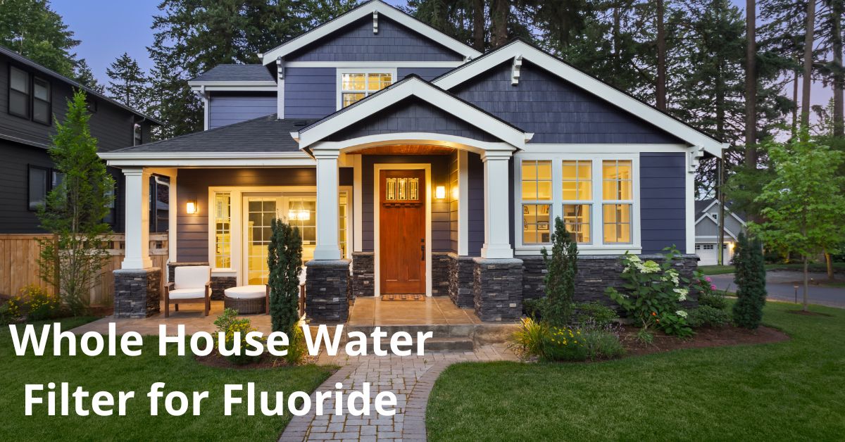 Read more about the article Whole House Water Filter for Fluoride